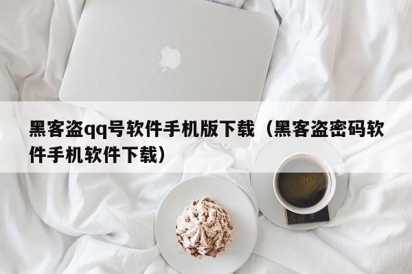 黑客盗qq号软件手机版下载（黑客盗密码软件手机软件下载）